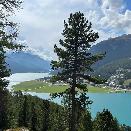 Chesa Munteratsch 1-zimmerwohnung 411 Typ A *