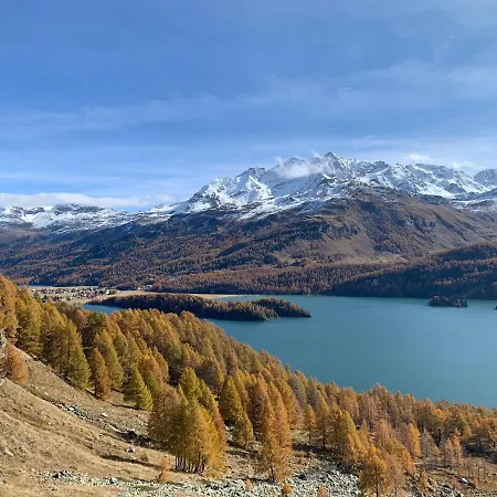 Chesa Munteratsch 1-zimmerwohnung 411 Typ A