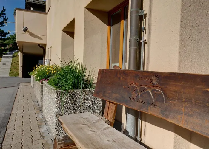 Chesa Munteratsch 1-zimmerwohnung 411 Typ A * Silvaplana