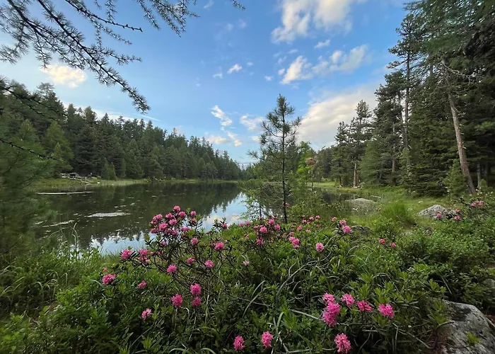 Apartman Chesa Munteratsch 1-zimmerwohnung 411 Typ A *