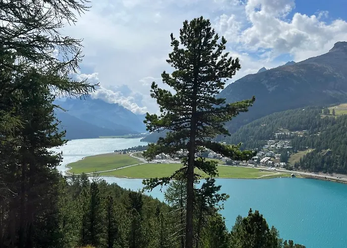 Chesa Munteratsch 1-zimmerwohnung 411 Typ A *