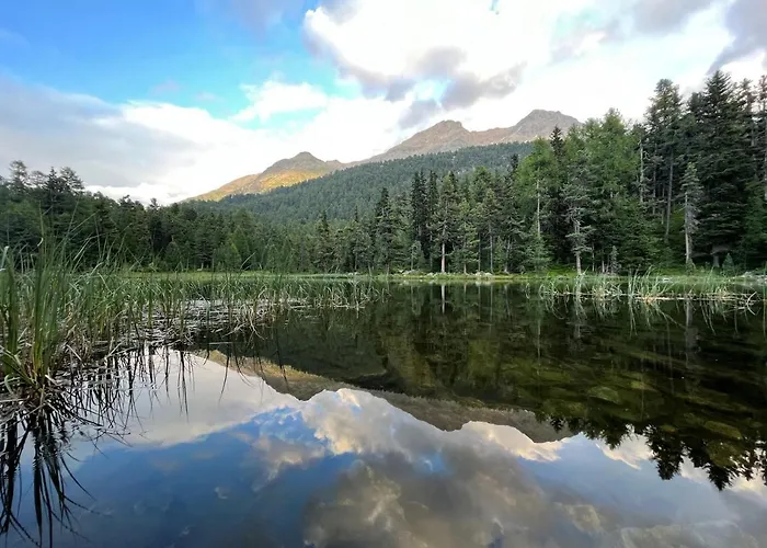 Chesa Munteratsch 1-zimmerwohnung 411 Typ A Apartman Silvaplana
