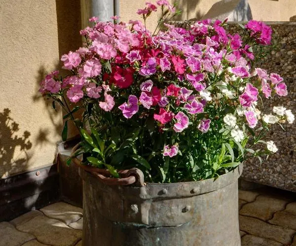 Chesa Munteratsch 1-zimmerwohnung 411 Typ A Apartman Silvaplana