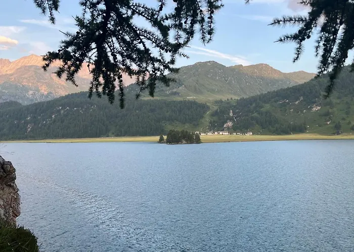 Apartman Chesa Munteratsch 1-zimmerwohnung 411 Typ A