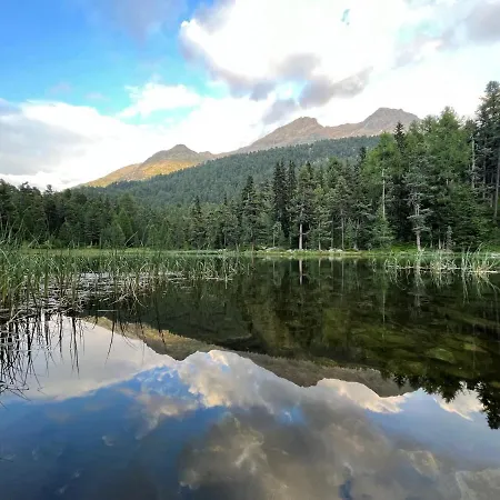 Chesa Munteratsch 1-zimmerwohnung 411 Typ A Appartamento Silvaplana