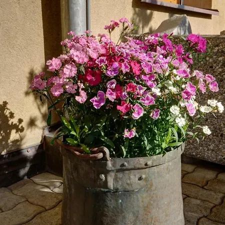 Chesa Munteratsch 1-zimmerwohnung 411 Typ A Appartamento Silvaplana