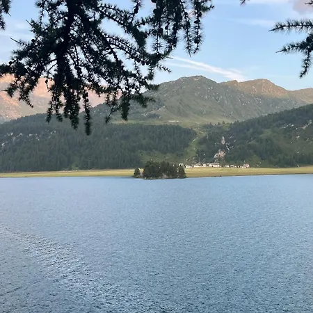 Appartamento Chesa Munteratsch 1-zimmerwohnung 411 Typ A